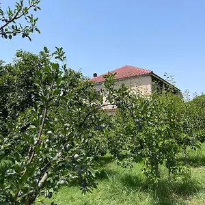  Privatunterkunft Mance Albanien